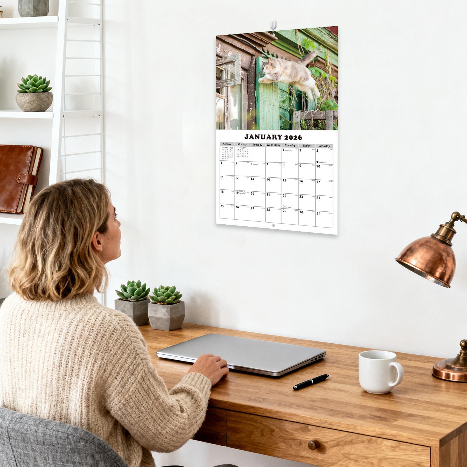 English Home Office - ปฏิทินติดผนังลายแมว ปี 2026 ปฏิทินวางแผน 13 เดือน