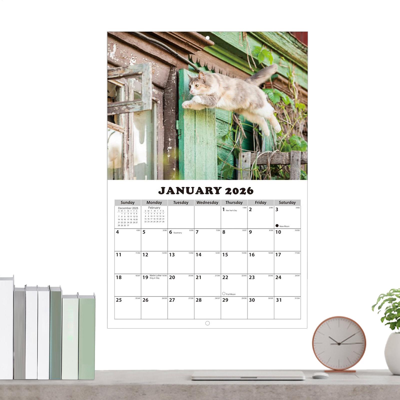 ปฏิทินติดผนังลายแมว ปี 2026 ปฏ - English Home Office บทวิจารณ์และราคา