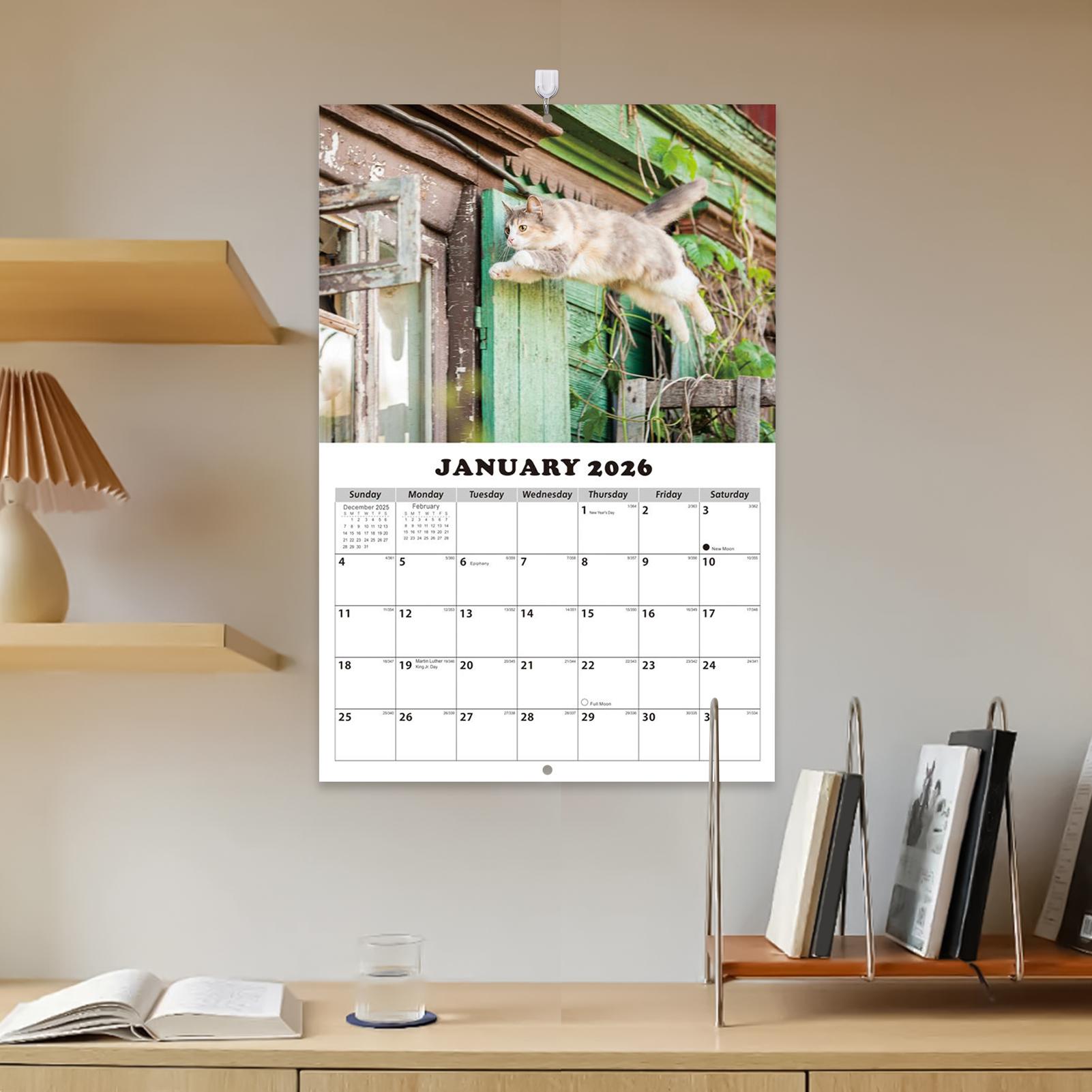 ปฏิทินติดผนังลายแมว ปี 2026 ปฏ - English Home Office บทวิจารณ์และราคา