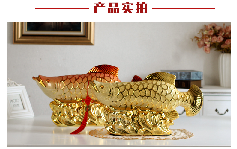 ปลาอะโรวาน่าทองคำขนาด 50 ซม. ส - Home Office Feng Shui บทวิจารณ์และราคา